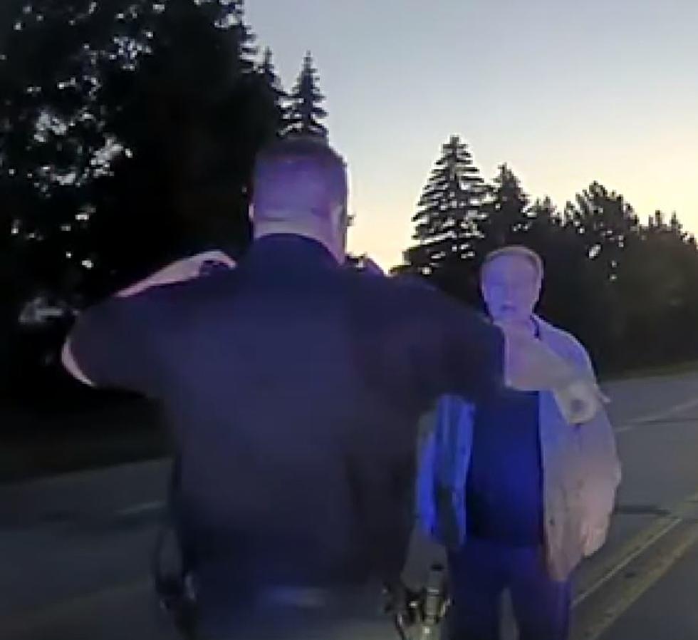 Michigan Traffic Stop Results in Officer Hooking Up New TV