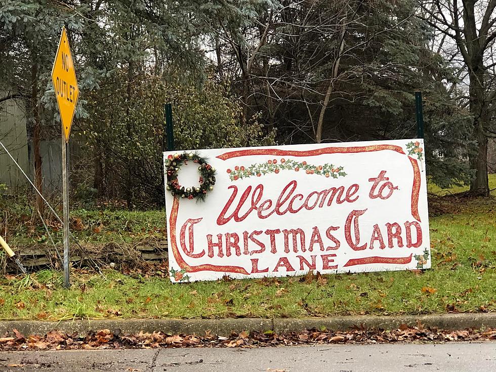 Kalamazoo’s Christmas Card Lane Still Active Even Without Snow