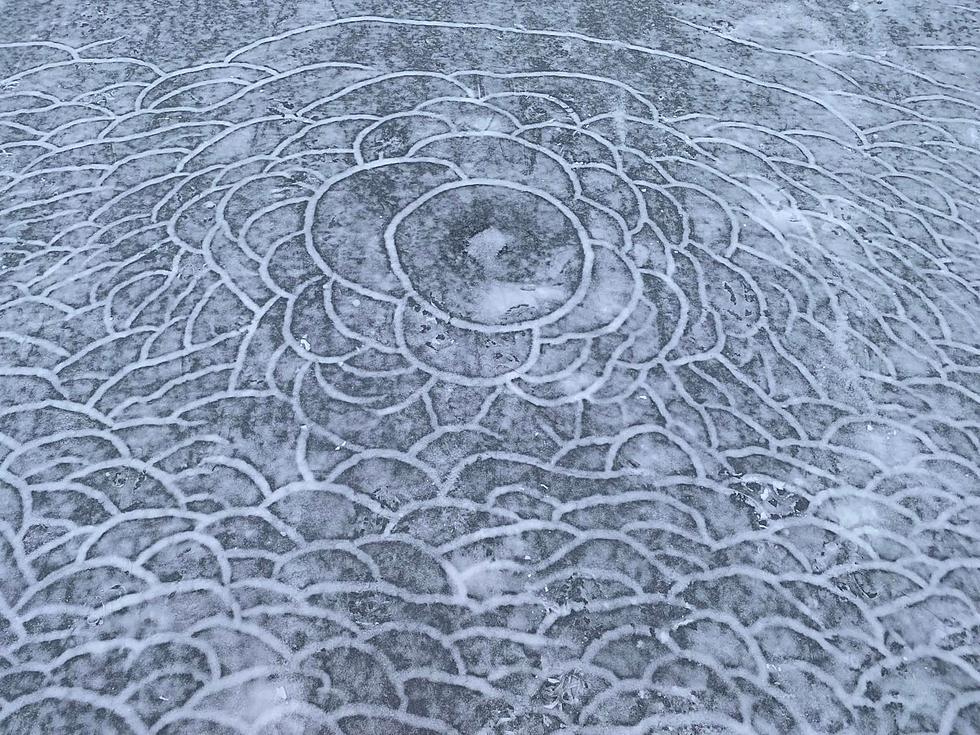 Strange Designs Left In Michigan Man’s Frozen Pond