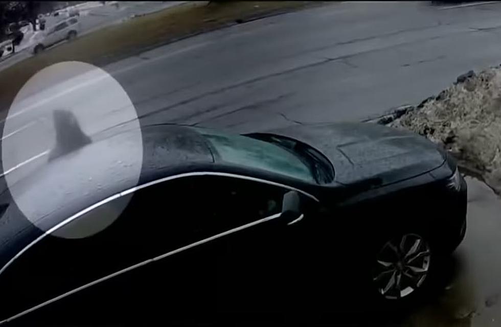 Have You Seen This Michigan Serial Car Thief?