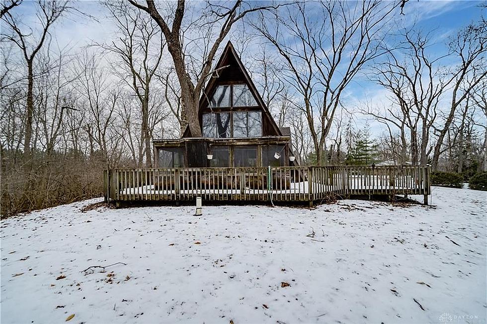 There is a Tree Growing Inside This Ohio Home For Sale
