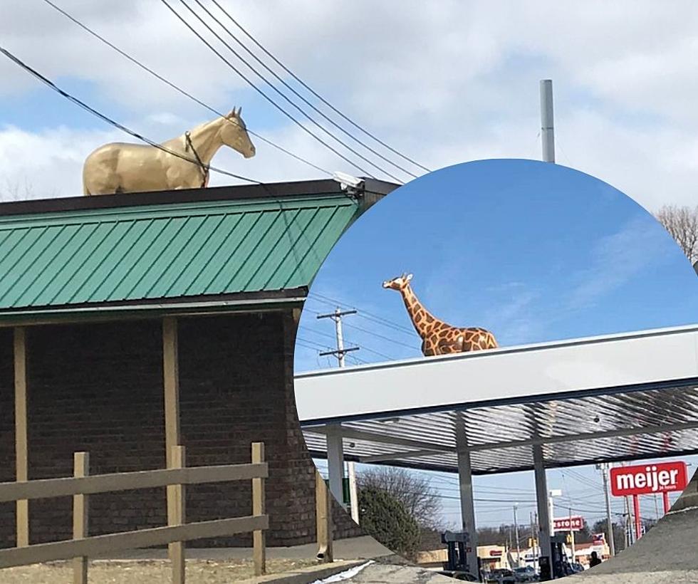 Why Does Lansing Have So Many Animal Statues on Their Rooftops?