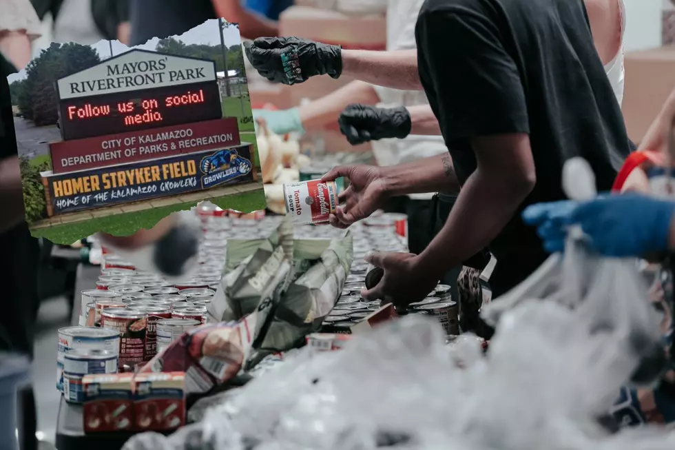 Love Baseball? Snag Kalamazoo Growler Tickets by Donating Food