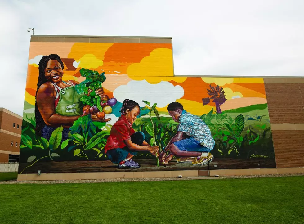 Have You Seen the Impressive New Mural in Downtown Battle Creek?