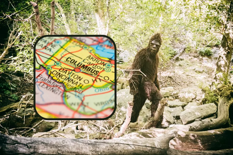 Woman Claims She has Proof that Bigfoot has Returned to Ohio