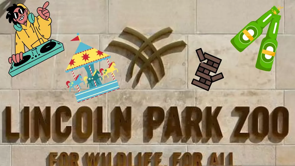 Chicago’s Lincoln Park Zoo Presents Adults Night Out: 90’s Block Party