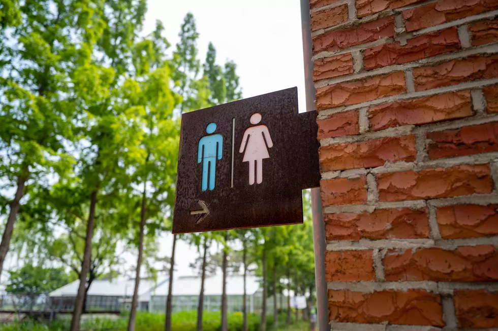 Good News! More Public Restrooms Are Coming to Downtown Kalamazoo