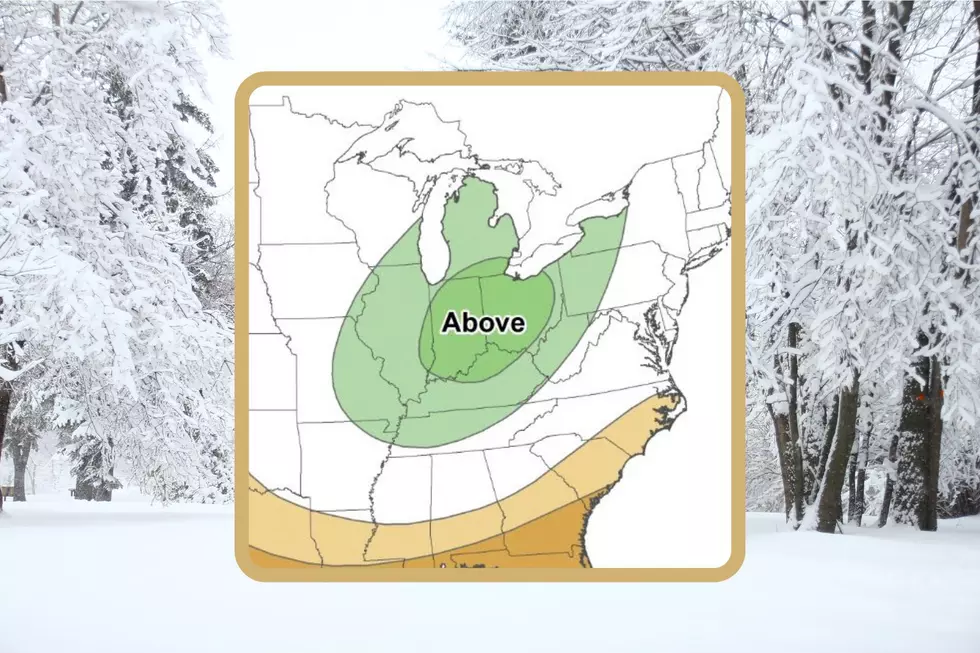 Here's the Latest Updated Winter Outlook for Michigan This Year