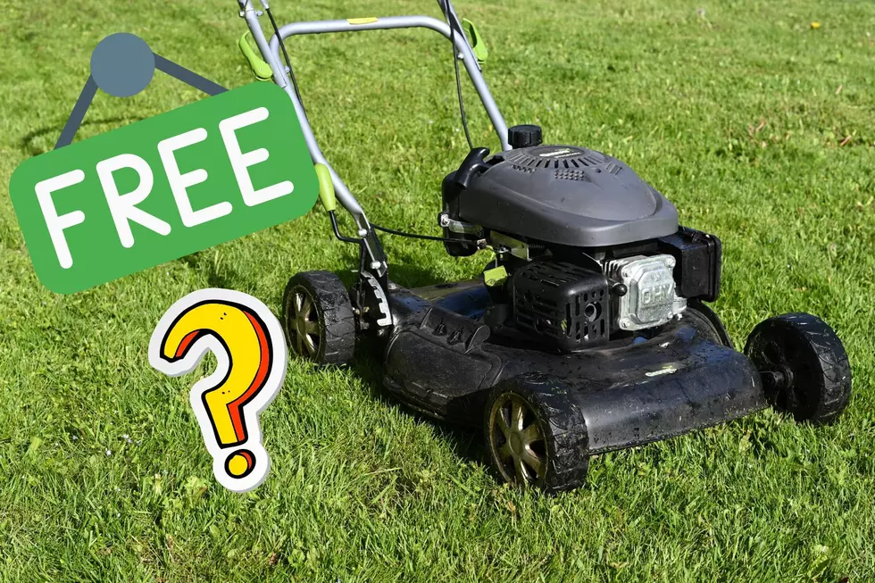 Missing Mower From Parchment Sparks Debate: Theft or Fair Game?