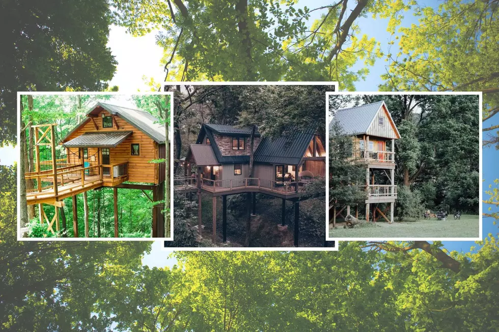 Take a Look at These 6 Enchanting Airbnb Treehouse Stays in Ohio