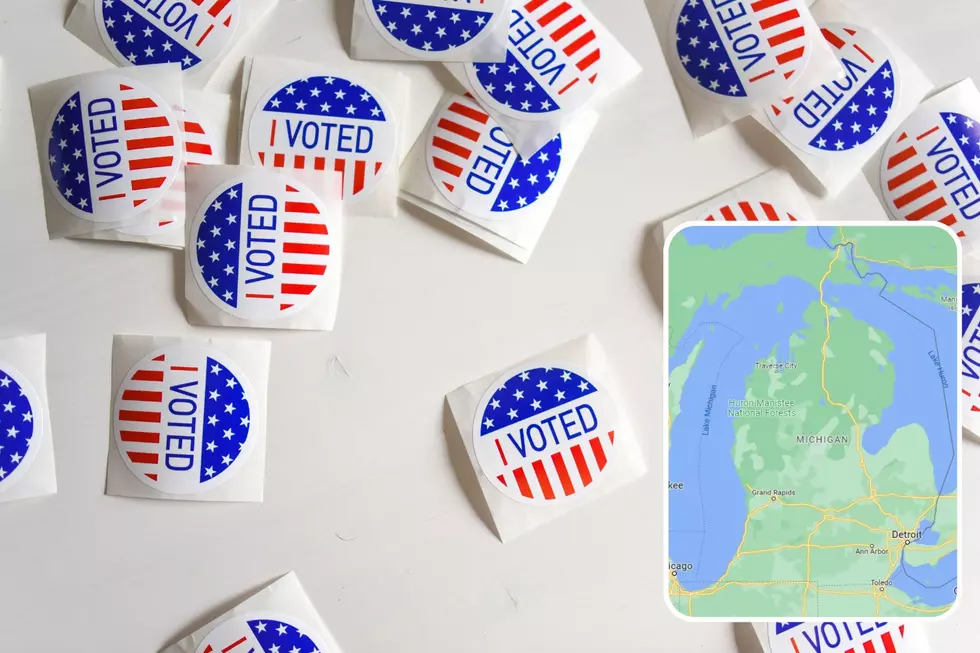 Here are Michigan’s 2022 Midterm Election Results