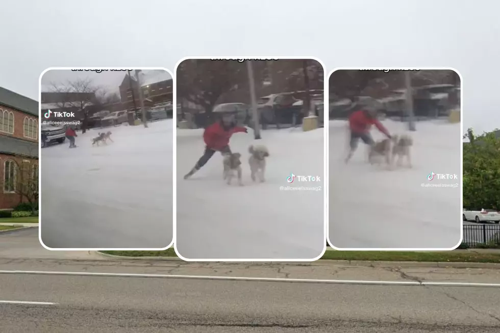 Dog Sledding Down Main Street? Yup…Must Be in Kalamazoo