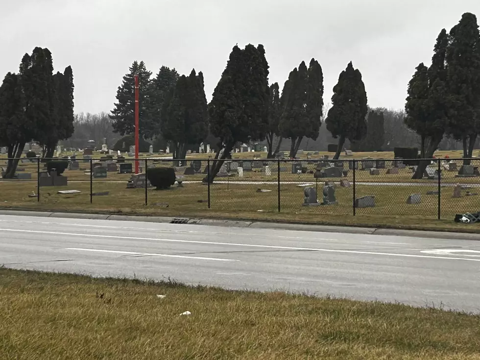 What's Up With the Leaning Trees in This Battle Creek Cemetery?
