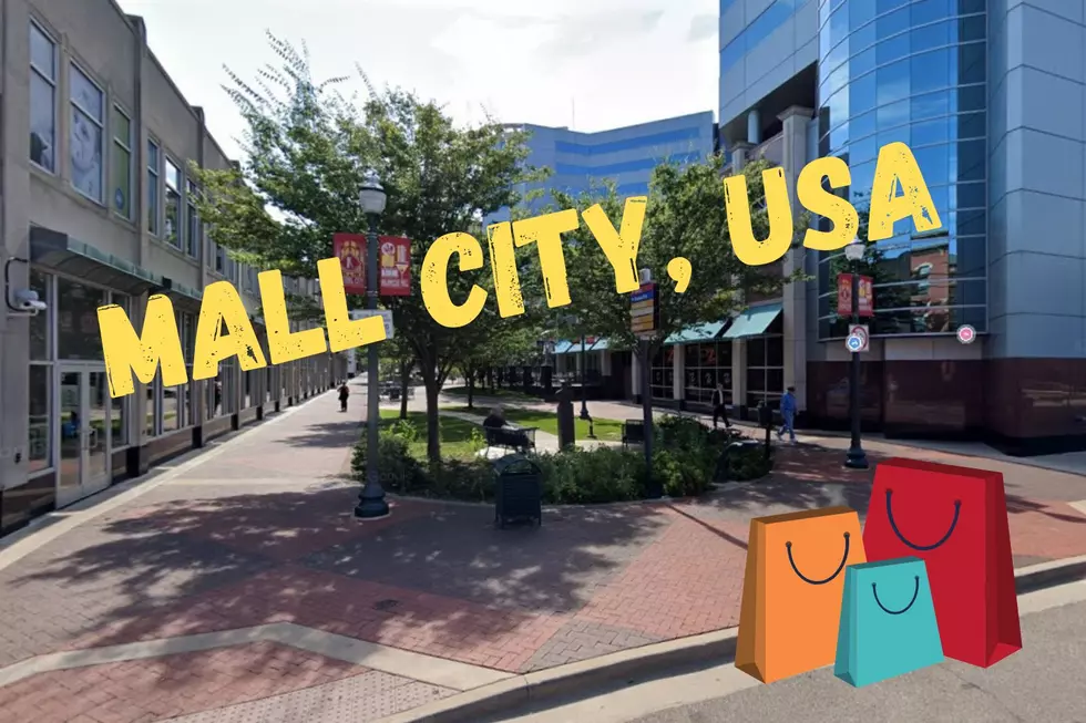 Here's The Reason Kalamazoo Is Referred To As The 'Mall City'