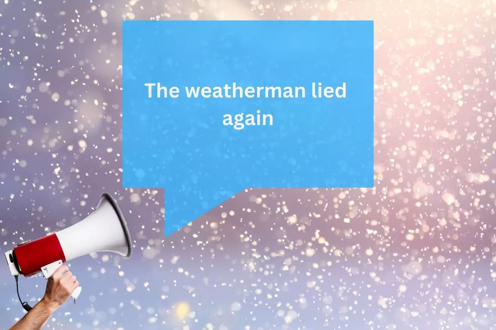 So, How Would You Describe Michigan's Winter in 5 Words or Less?