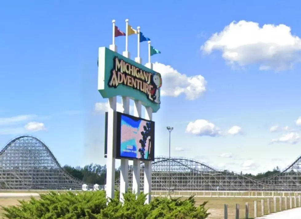 Heading to Michigan's Adventure This Summer? Here's What to Know