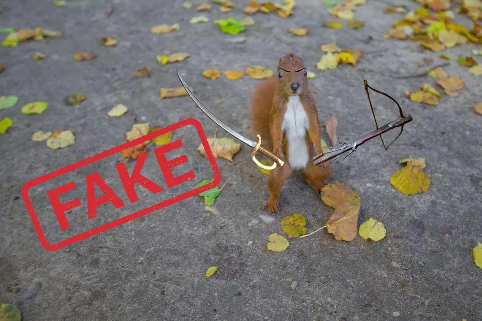 This Story About a Detroit Woman & Her Attack Squirrels is Fake