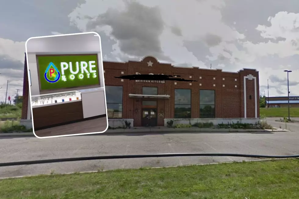 Battle Creek Now Has 20+ Dispensaries with Opening of Pure Roots