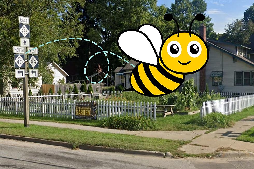 Pollinator-Friendly Community Garden Coming to Downtown Allegan This Spring
