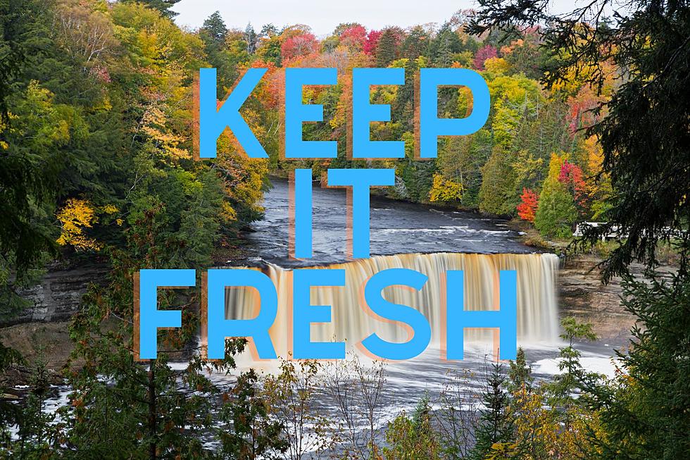 11 New Tourism Slogans For the State of Michigan