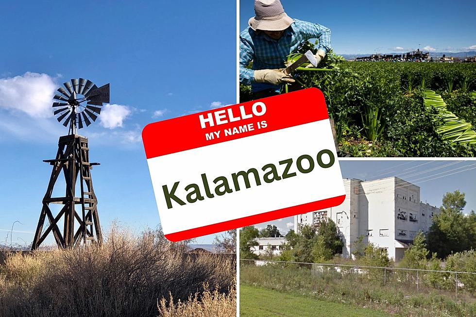 Have You Ever Heard These 5 Nicknames for Kalamazoo, MI?