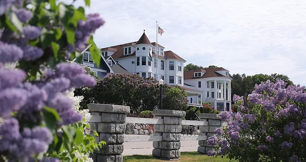 The Oldest Lilacs In the Country Can Be Traced to Mackinac Island