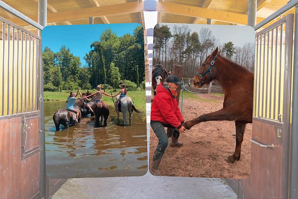 Allegan Area Ranch Has One Goal: To Connect Humans & Horses