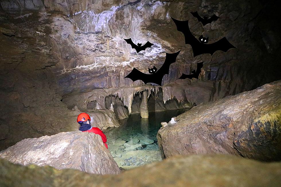 The Only Cavern in the Great Lakes Area is Located in SW Michigan
