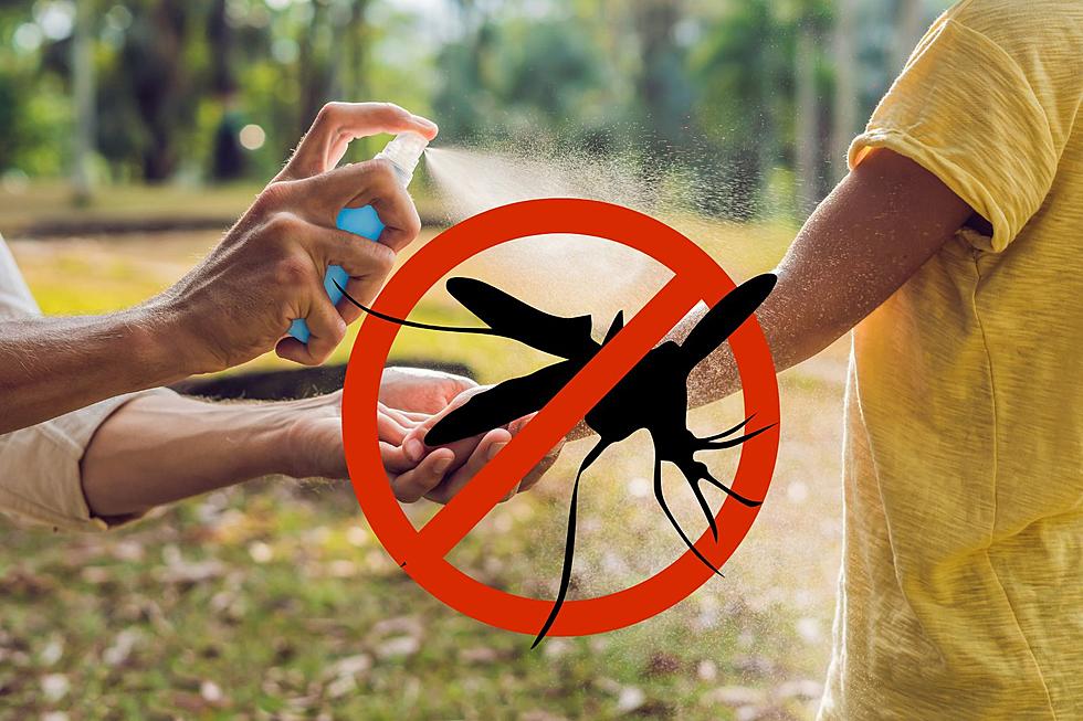 Michigan Mosquitoes Are Testing Positive for West Nile Virus– AGAIN