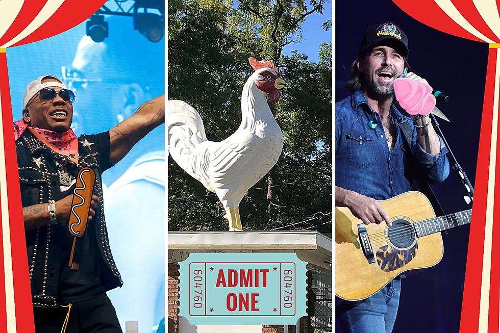 Check Out The Spectacular Lineup For The 2023 Allegan County Fair