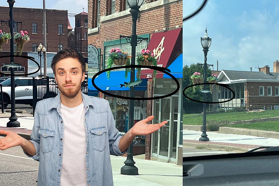 Why Are There Fish on Lamp Posts in Downtown Niles, Michigan?