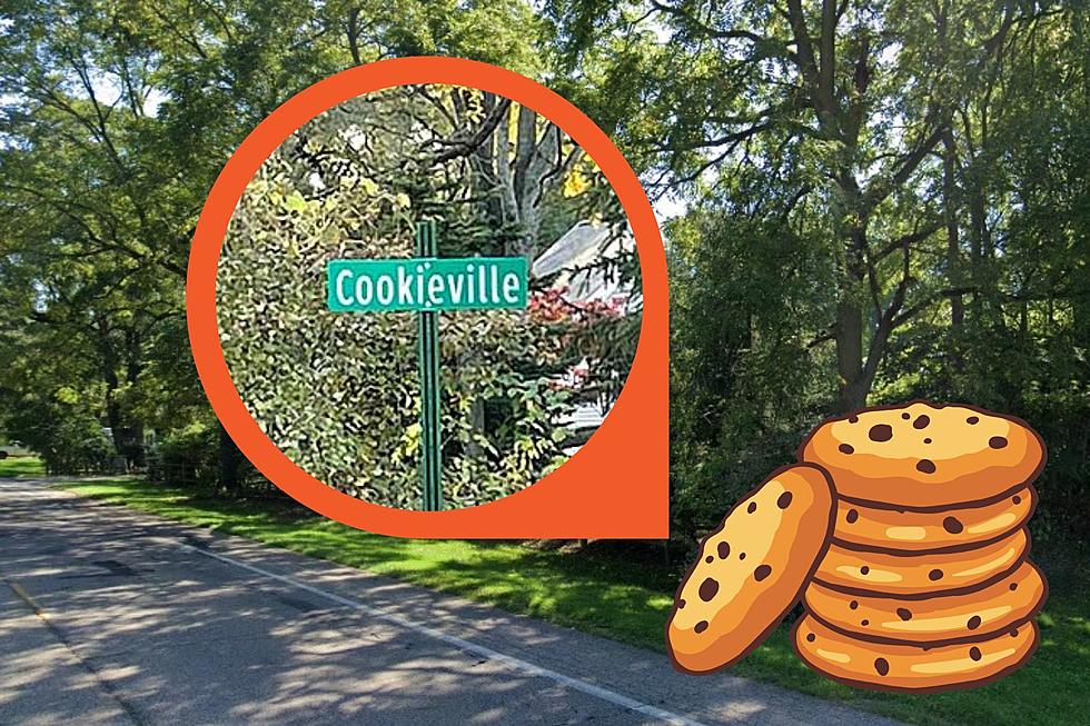 Plainwell Residents Honor Former Community of “Cookieville” With New Signage