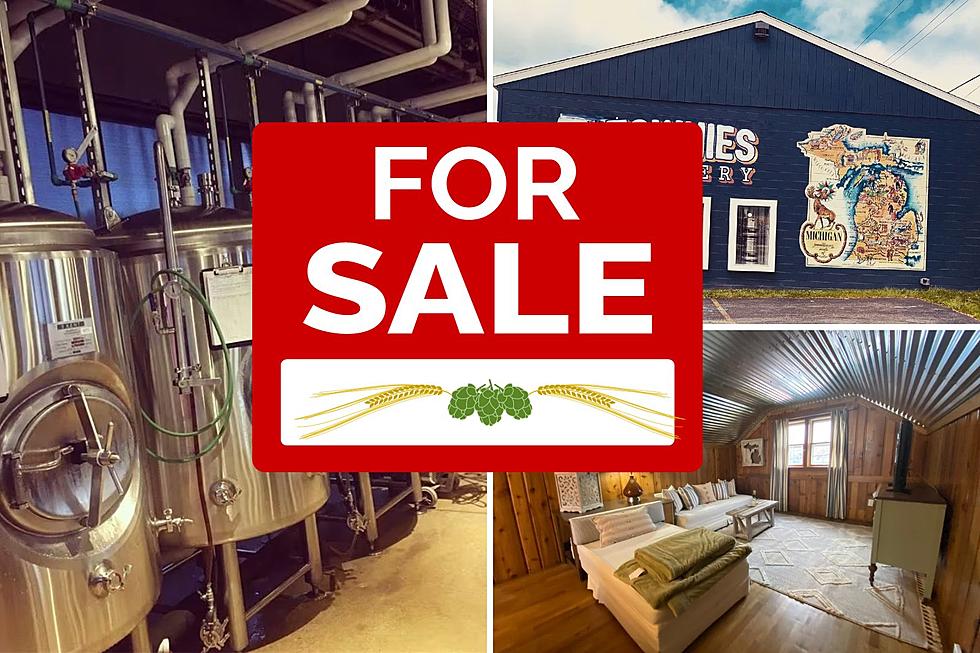 Winning Combo: Brewery, Warehouse, and Rental Property For Sale in Ann Arbor