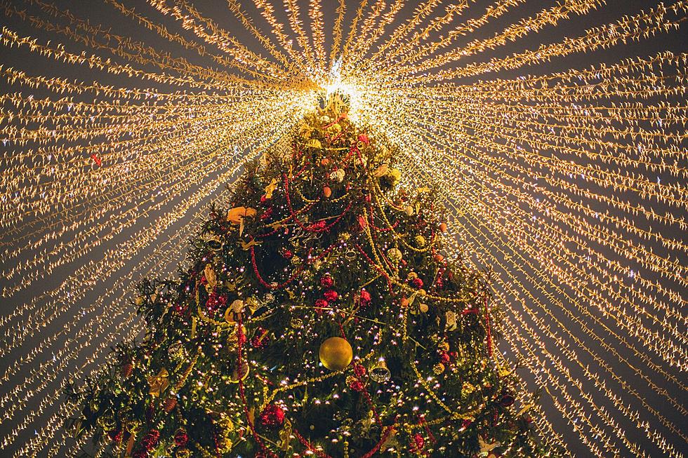 City of Otsego Wants YOUR Tree For Annual Hometown Christmas Celebration