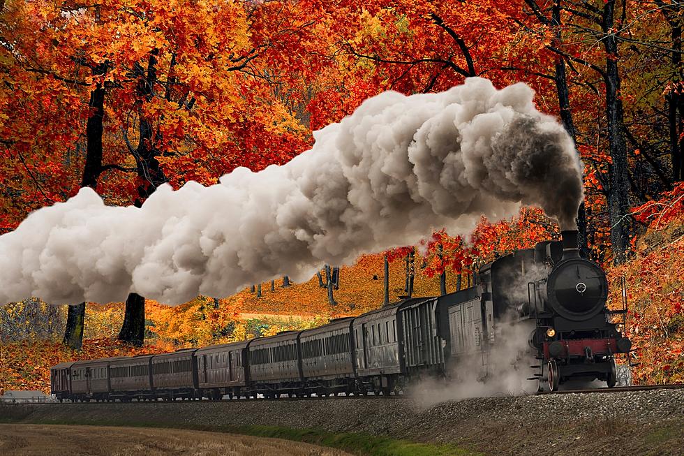 Enjoy the Michigan Fall Colors This Year with a Scenic Train Tour