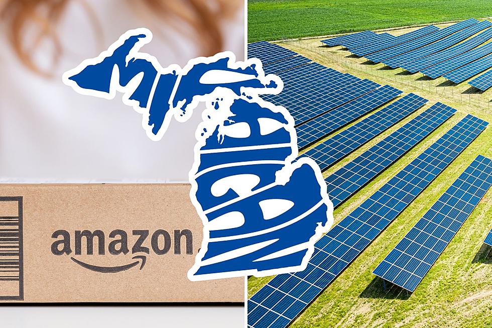 Amazon Will Build New Solar Farm Right Here in Southwest Michigan