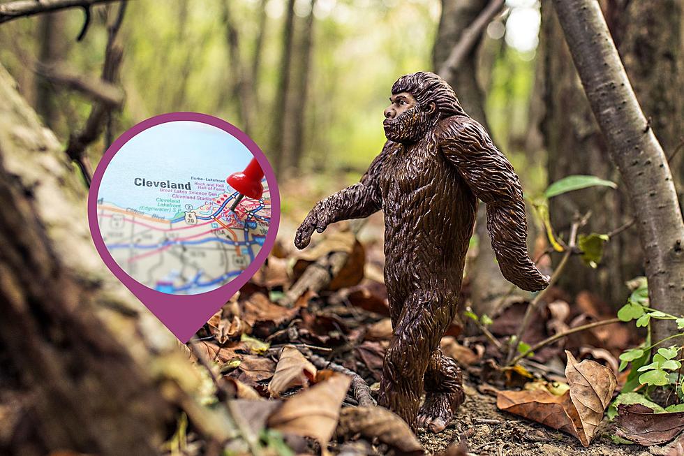 Bigfoot Statue Theft is One of Cleveland's Strangest Crimes