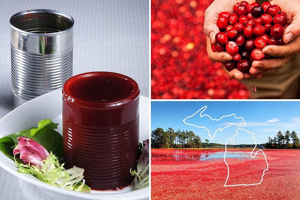 Cranberries Grown in Michigan Could Be In Your Next Can Of Ocean Spray