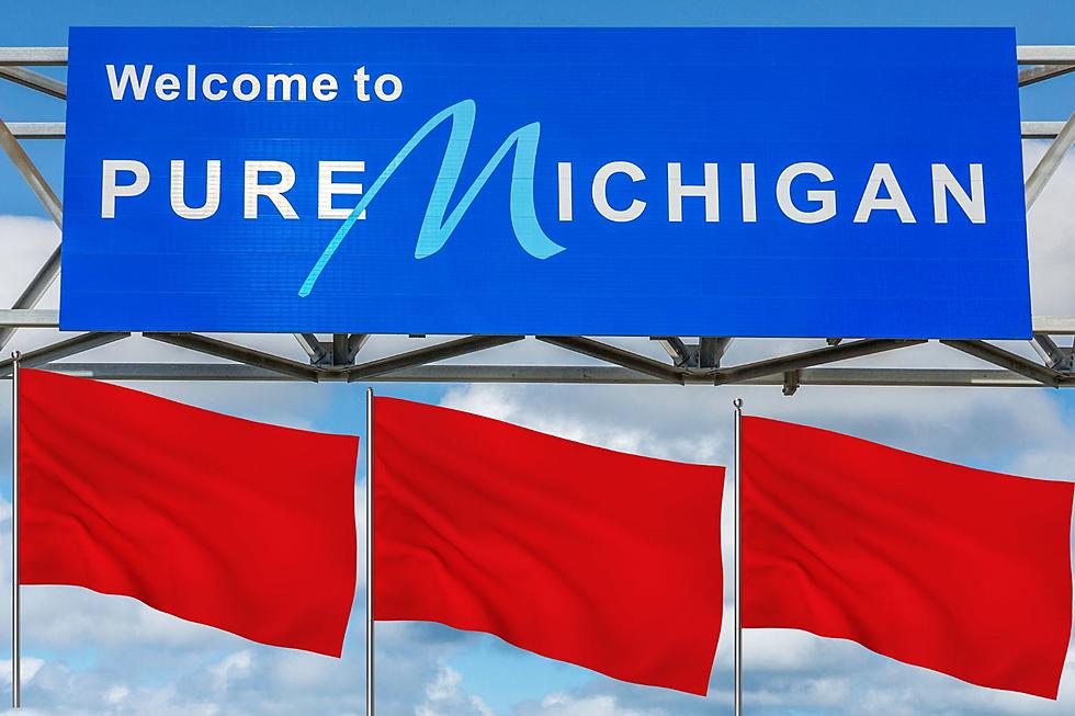 6 Major Red Flags To Consider Before Moving to Michigan