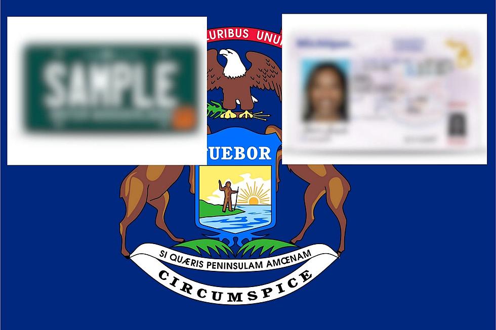 Michigan Driver's License and Plate Changes Coming in 2024