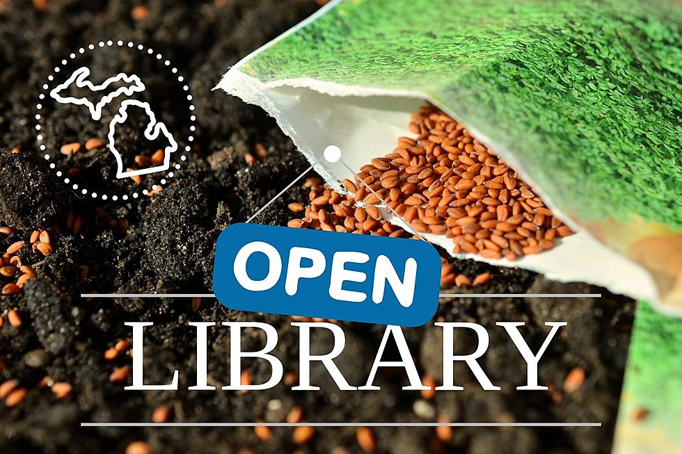Local Library Offers Free Native Seeds To West Michigan Residents