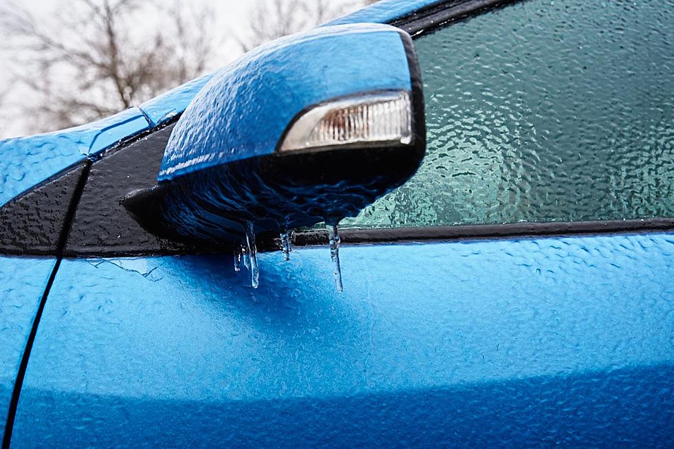 9 Things Michiganders Shouldn't Leave In Their Freezing Cars