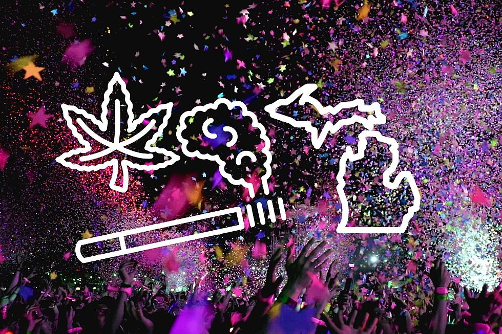 Are Concert Venues The Future Of Cannabis Tourism In Michigan?