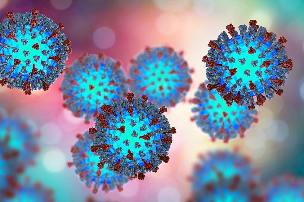 BEWARE: Health Officials Warn Infectious Disease Spreading In MI