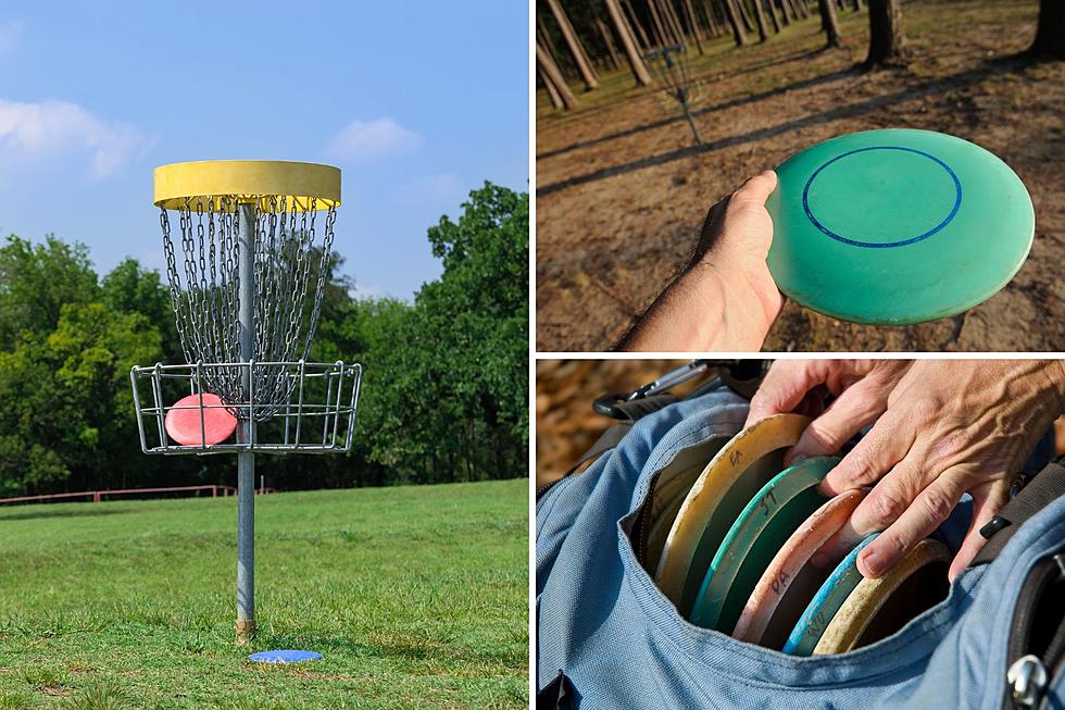 3 Must-Play Disc Golf Courses In Kalamazoo Perfect For Beginners