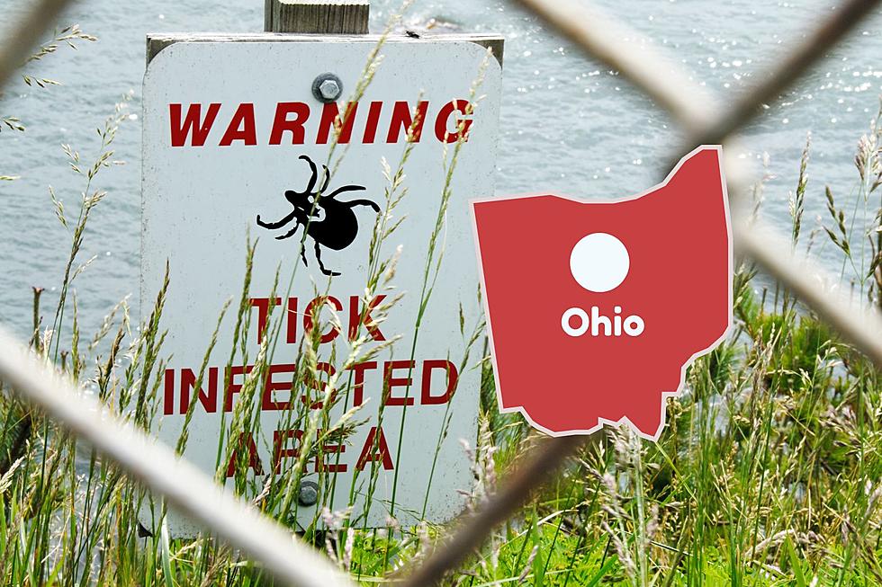 ALERT: Expect To See More Ticks In Ohio This Season