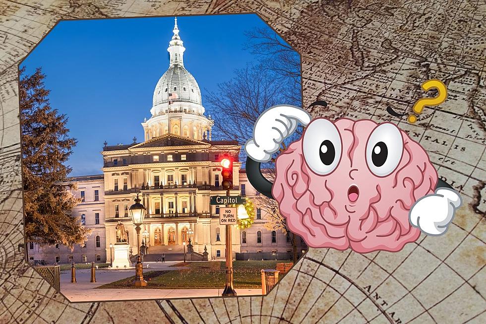 Did You Know Michigan Chose Two Different State Capitals Before Settling On Lansing?