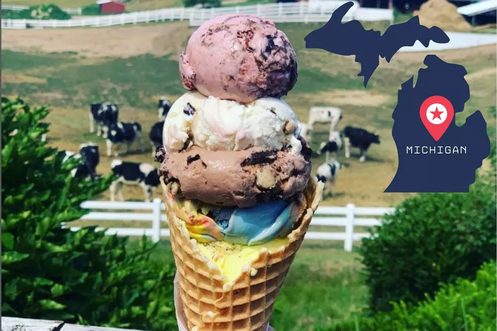 Michigan Spot Named Among Best Ice Cream Parlors In America