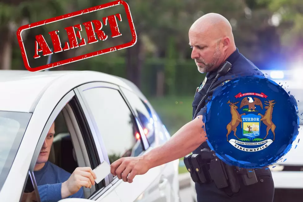 WARNING: New Law Crackdown Targets Michigan Drivers Immediately