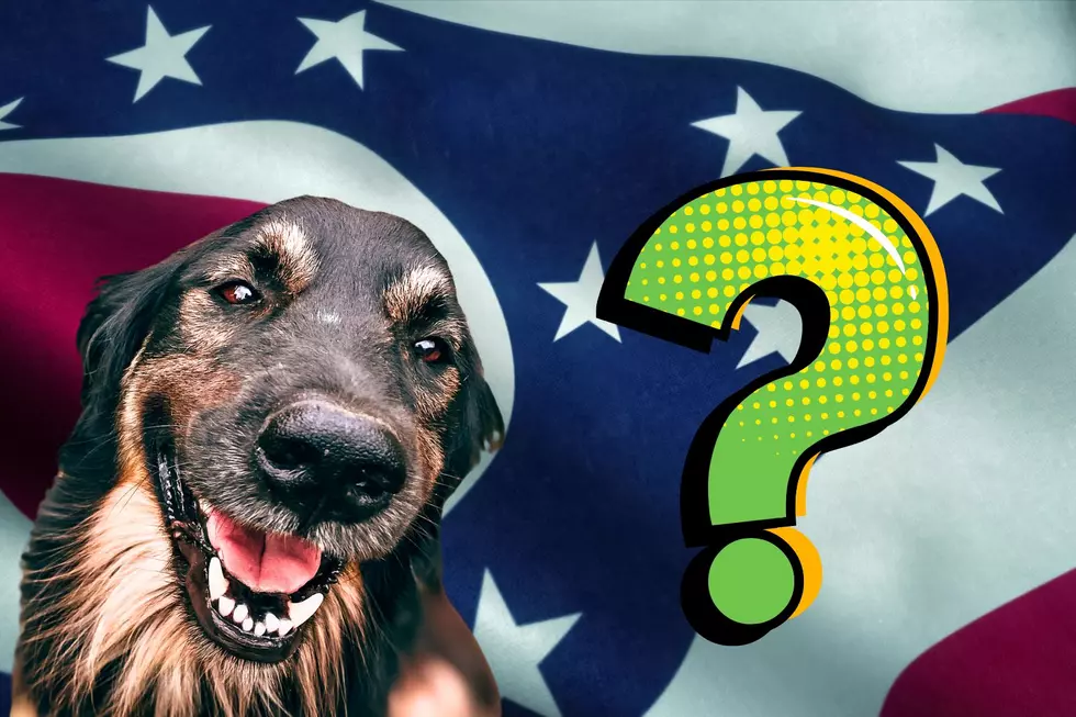 What is the Official State Dog of Ohio?